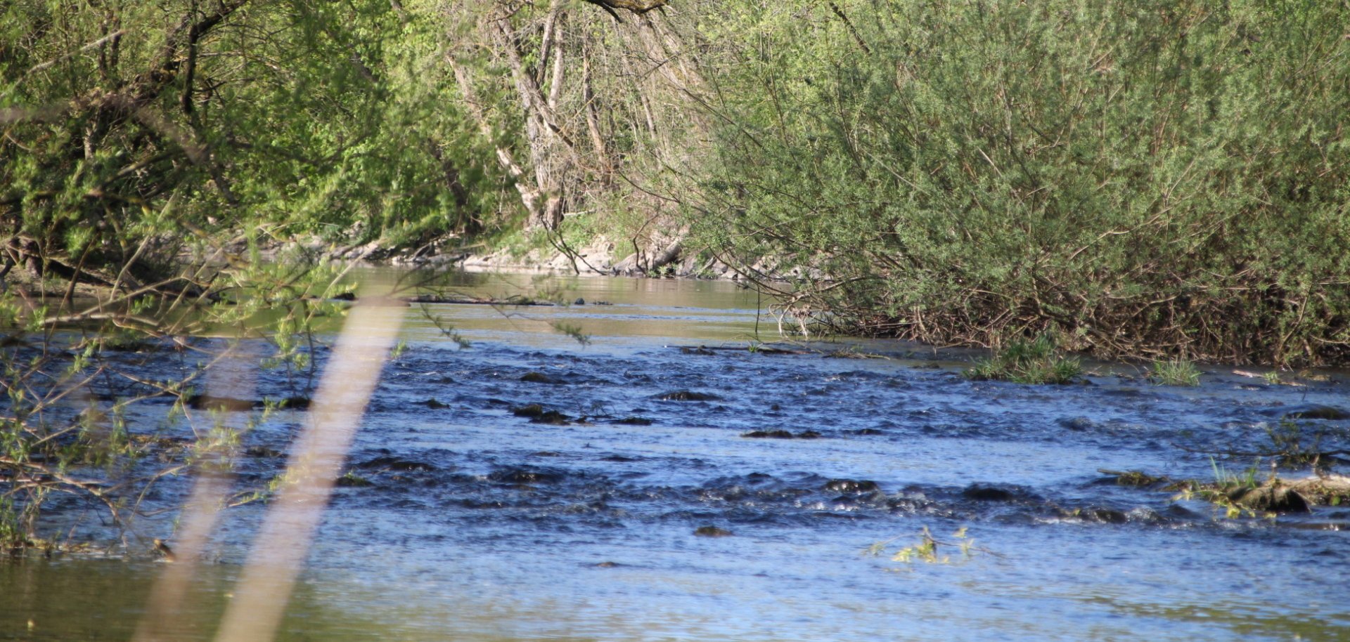 Von Pflanzen gesäumter Flusslauf